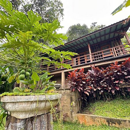 Sang Tirta Resort Penebel Ngoại thất bức ảnh